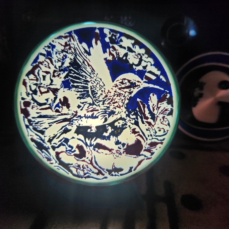 Humming Bird Lit Lens in  Cannon Light